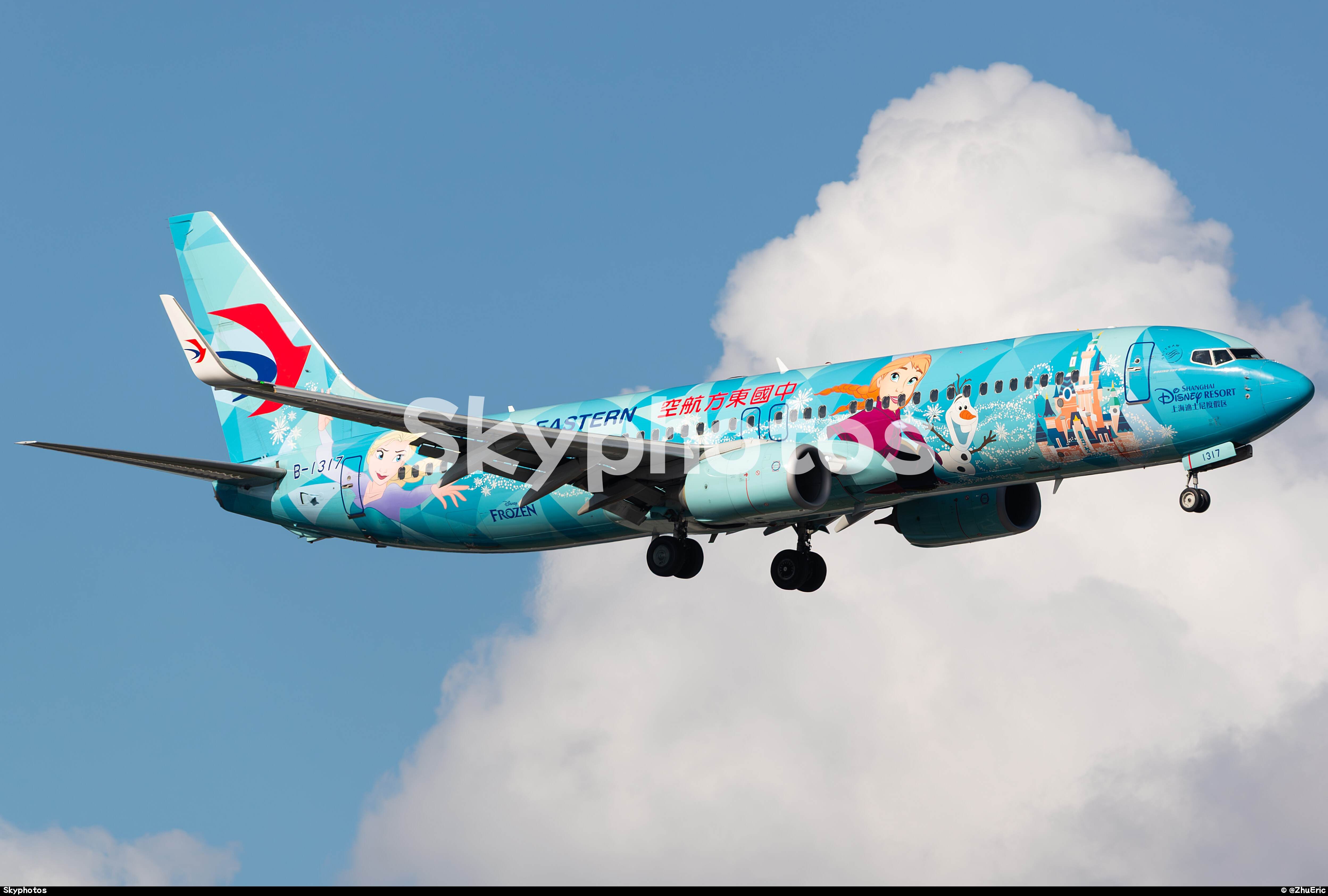 中国东方航空 B737-800(WL)