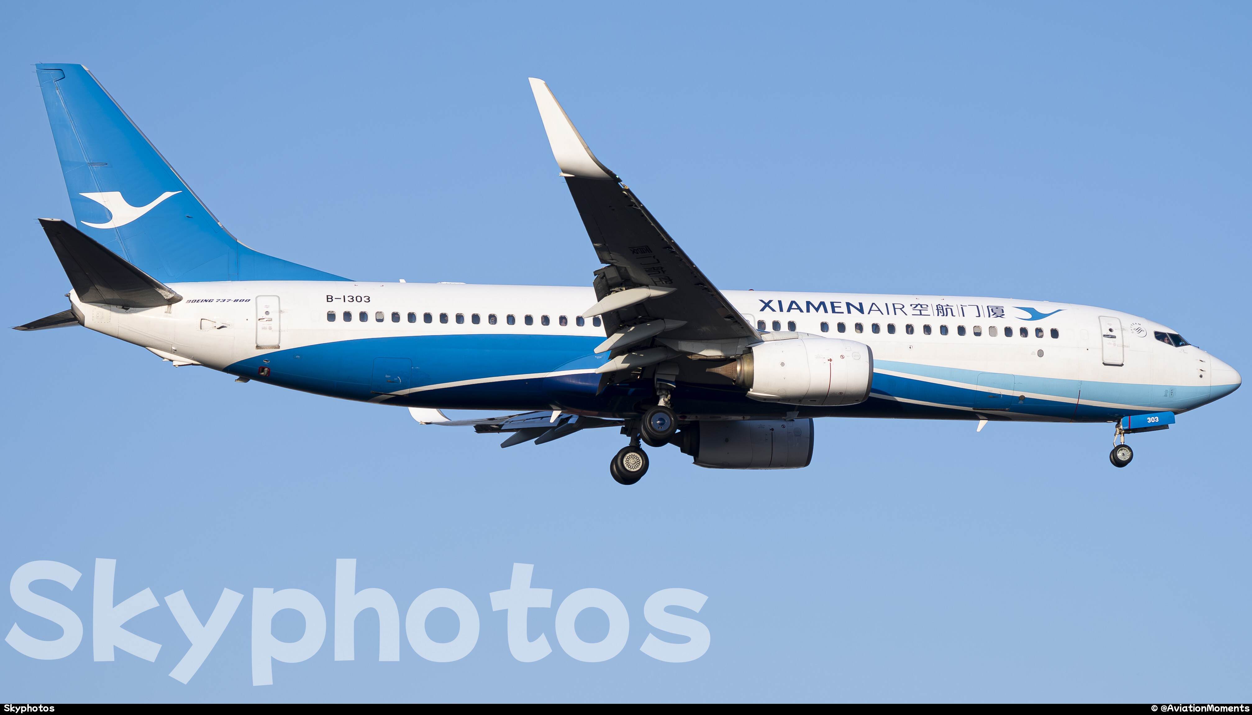 厦门航空 B737-800(WL)