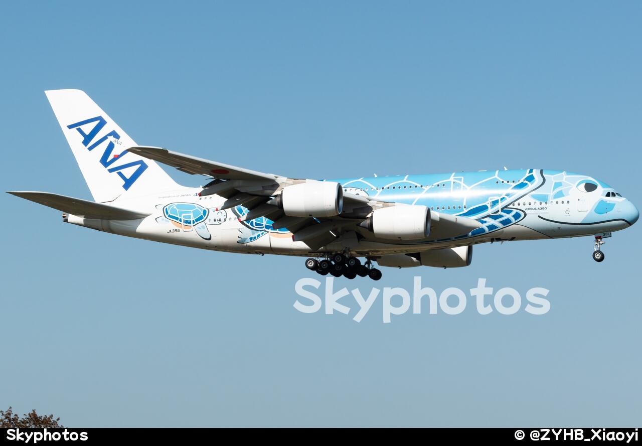 全日空航空 A380-841