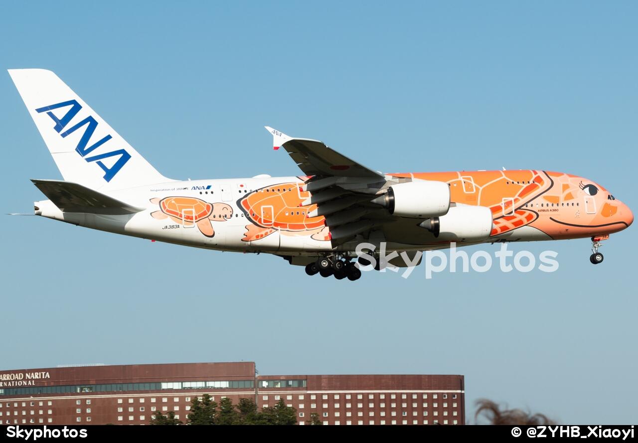 全日空航空 A380-841