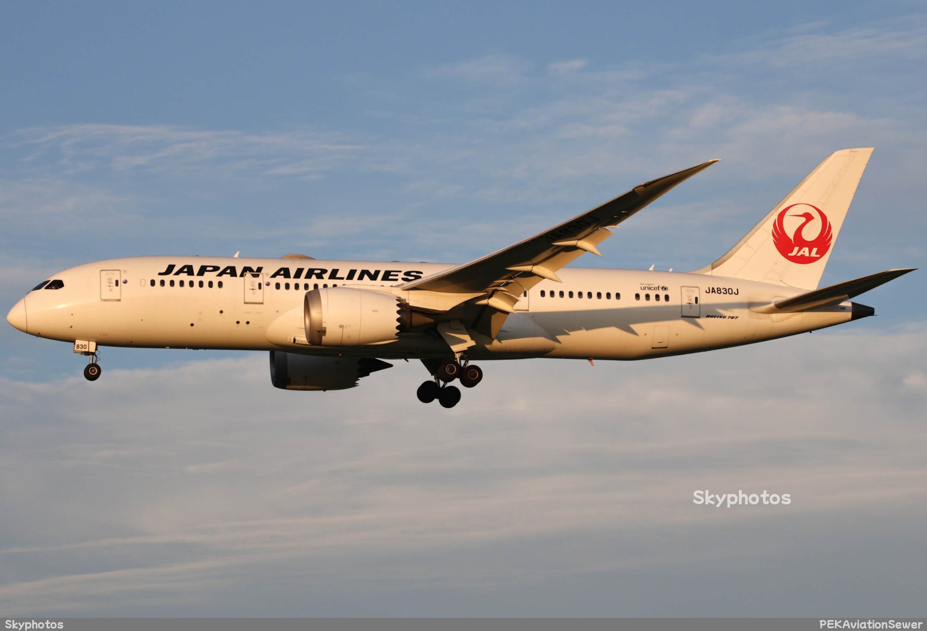 日本航空 波音787-8