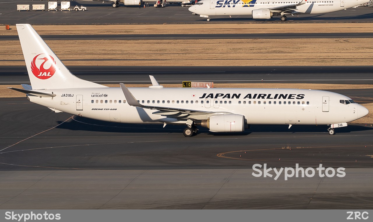 Japan Airlines B737-846