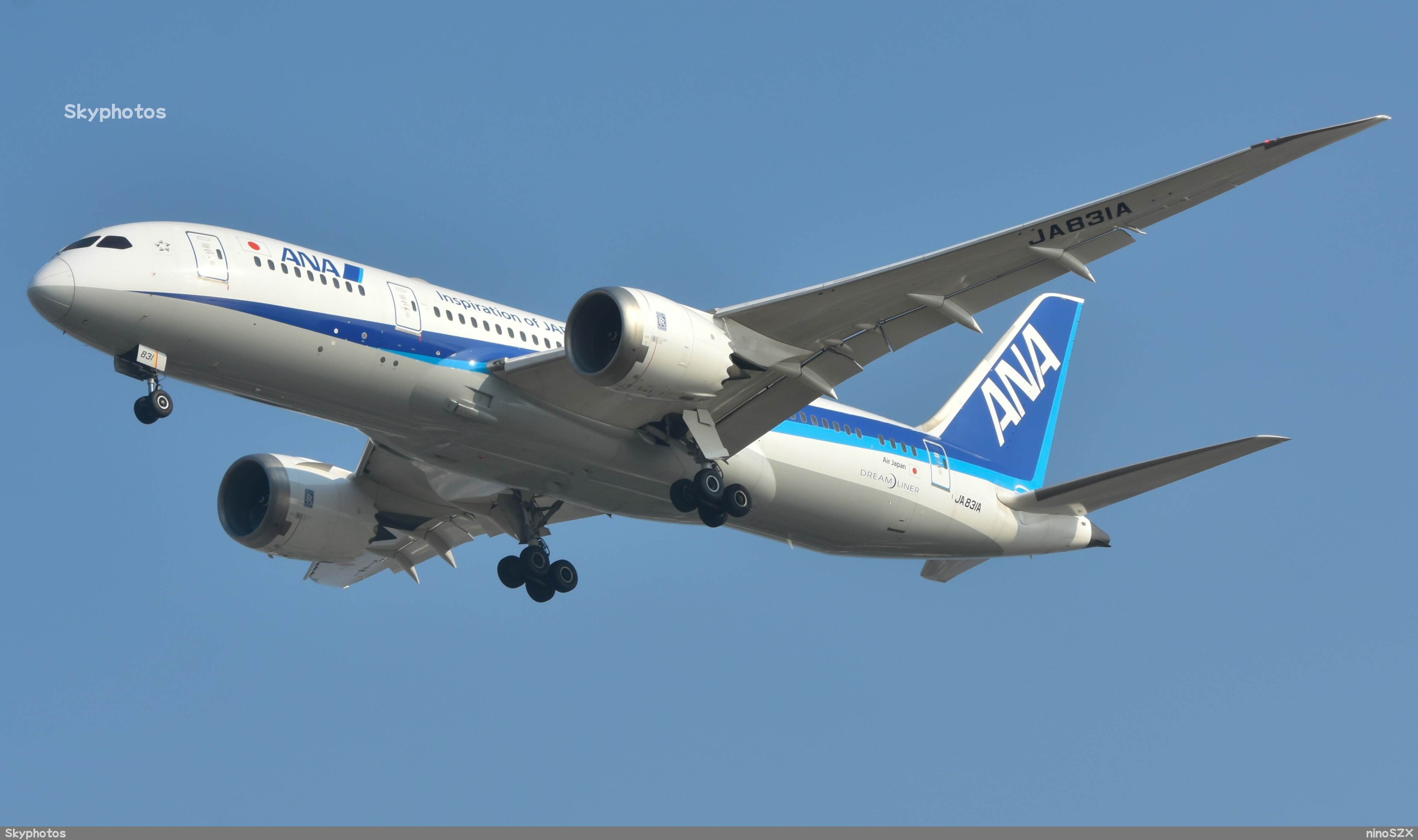 ANA B787-8