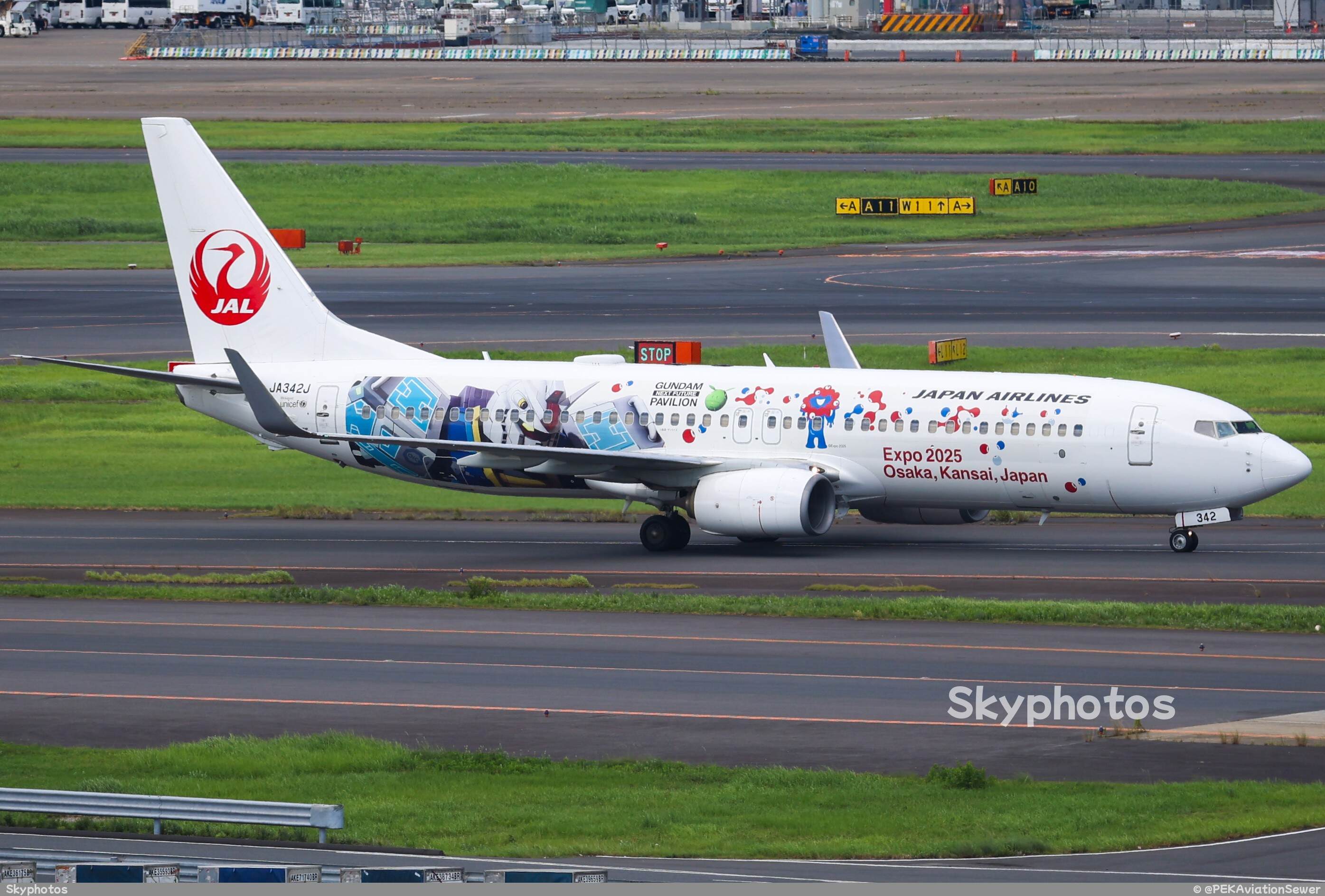 Japan Airlines Boeing 737-800