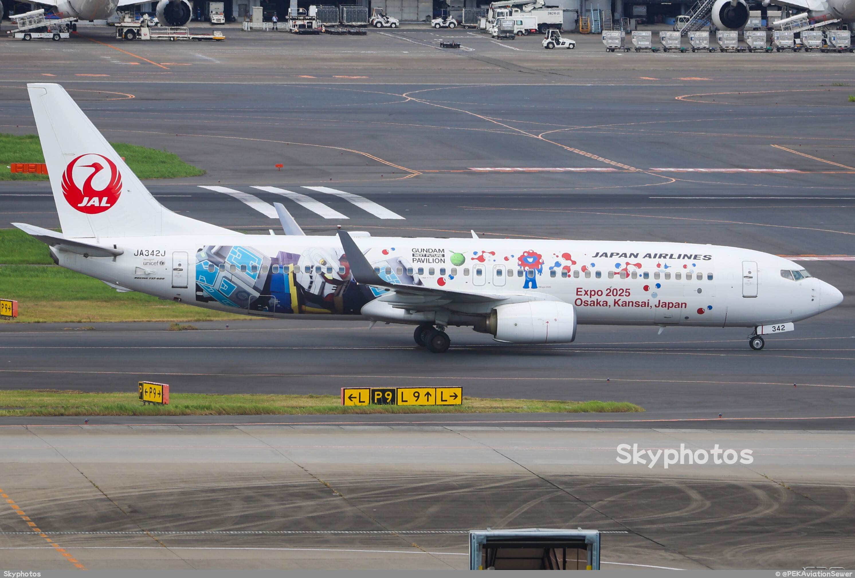 Japan Airlines Boeing 737-800
