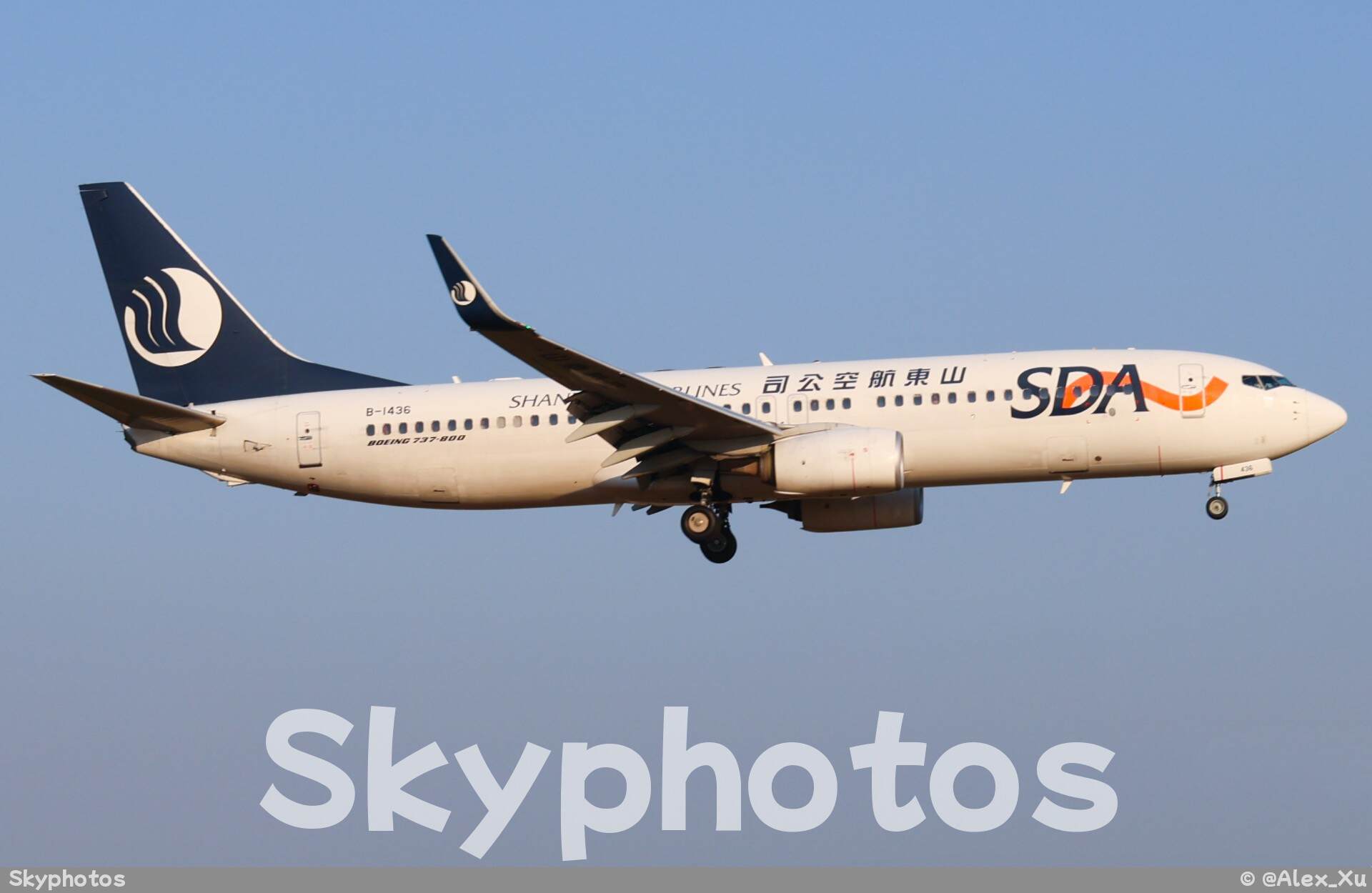 山东航空 B737-800(WL)