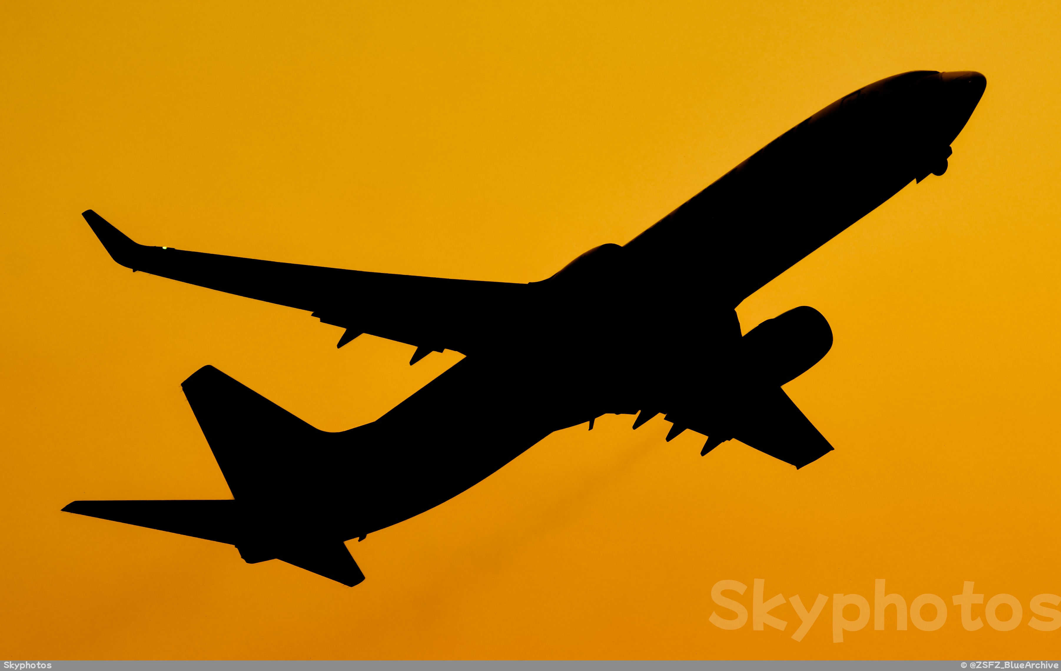 深圳航空 B737-87L(WL)