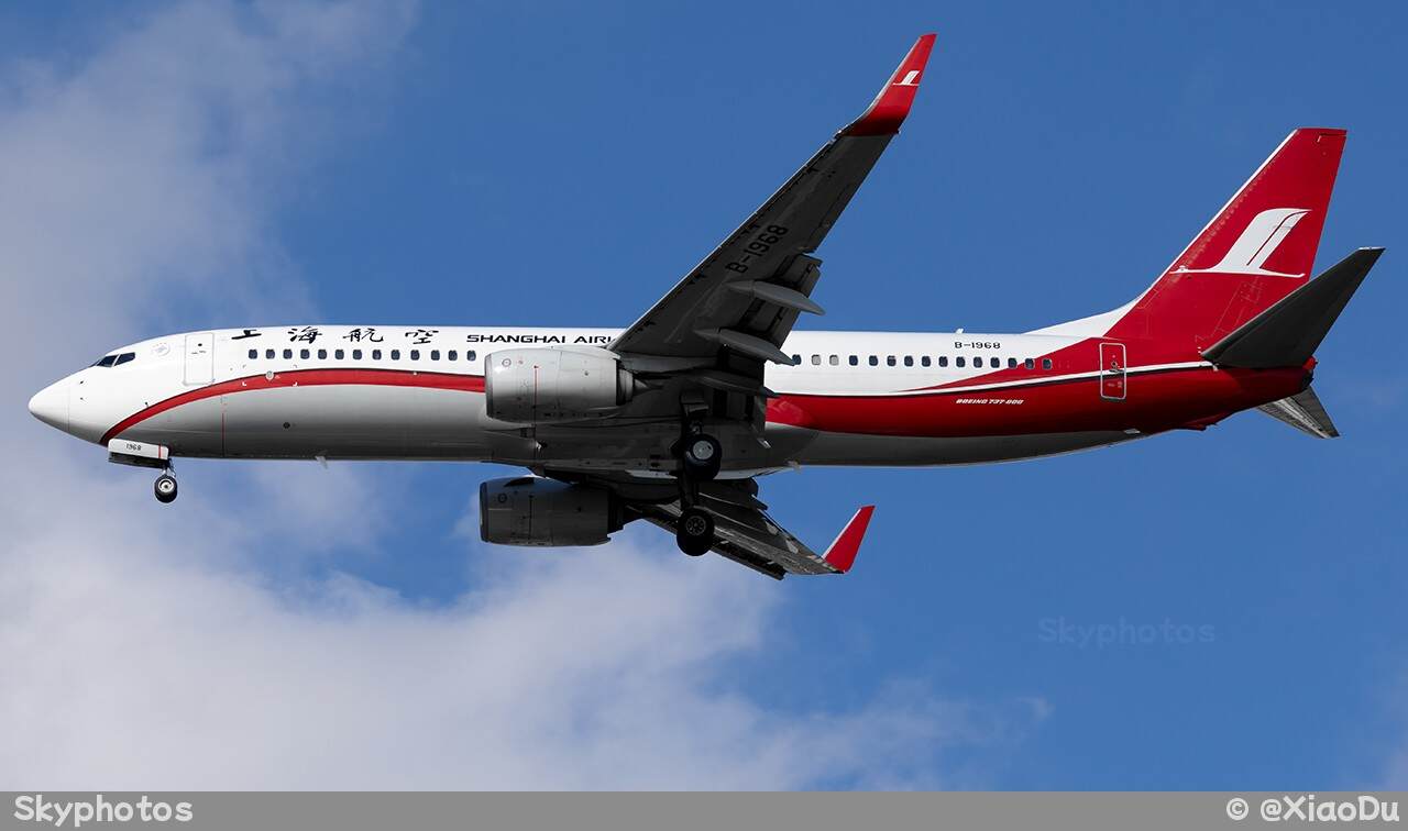 上海航空 B737-86D(WL)