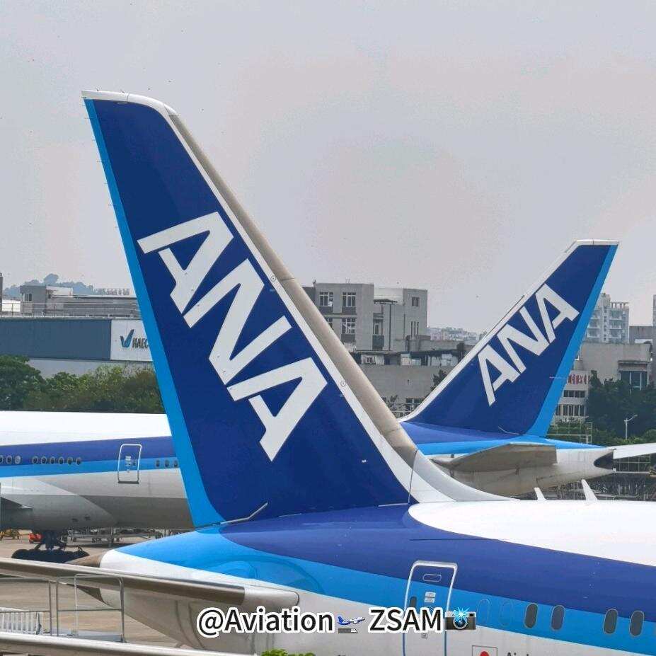 AviationZSAM的头像