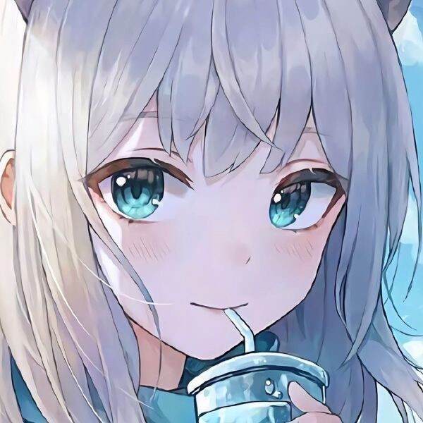 DreamIceTea的头像