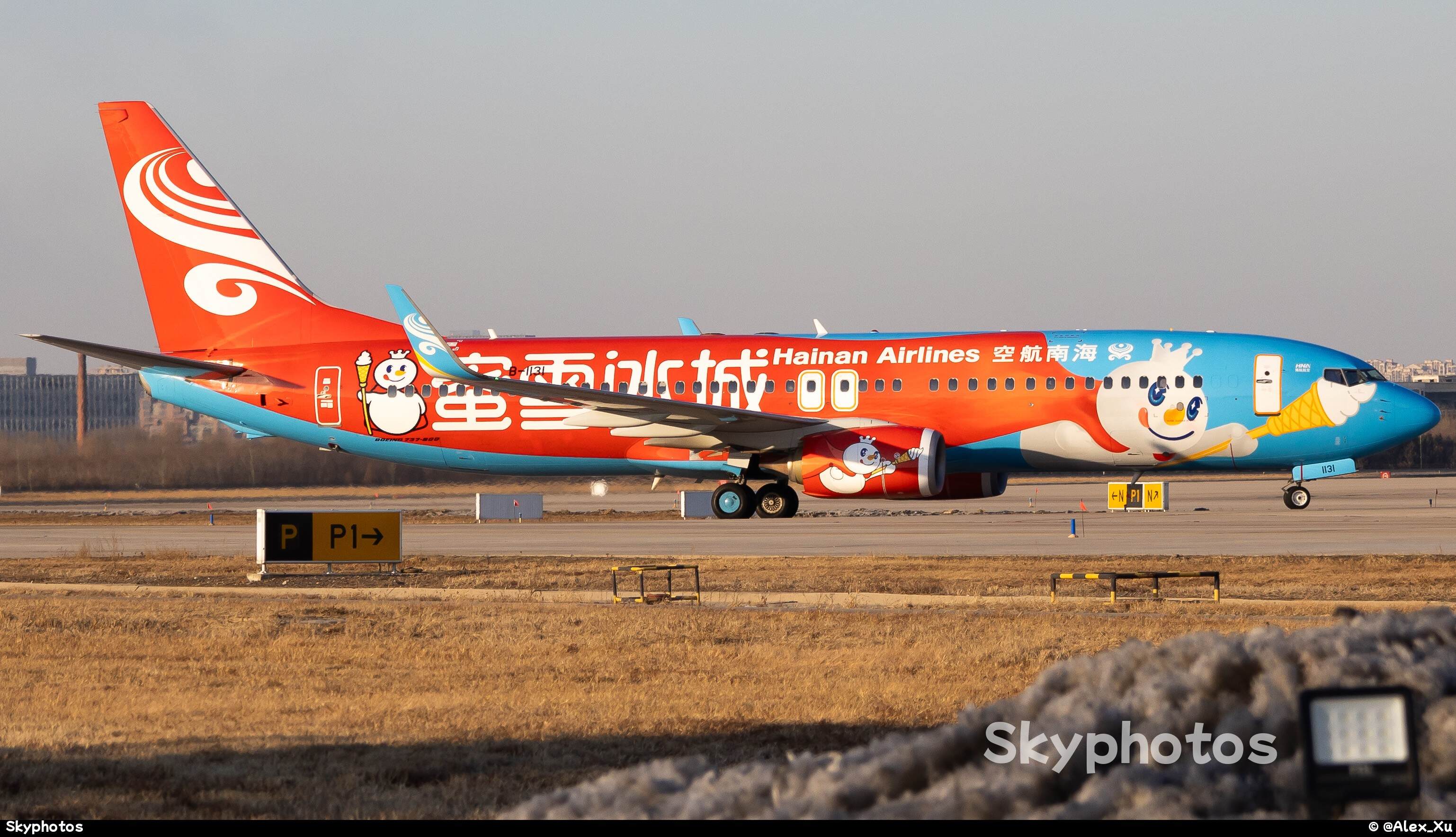 海南航空 B737-800(WL)
